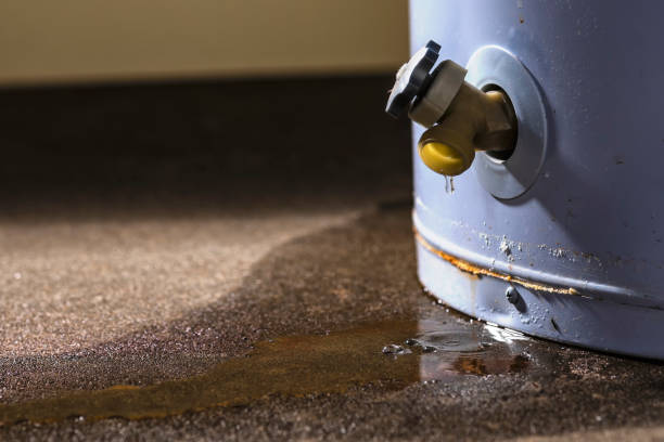  Bridgetown, OH Water damage restoration Pros