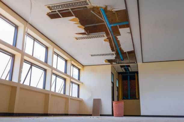 Best Carpet water damage restoration  in Bridgetown, OH