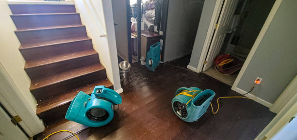 Best 24-hour water damage restoration  in Bridgetown, OH