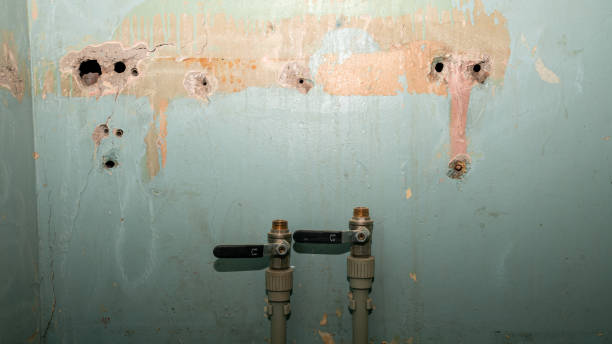 Best Flood restoration services  in Bridgetown, OH