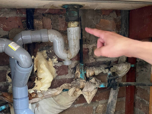 Best Basement water damage restoration  in Bridgetown, OH