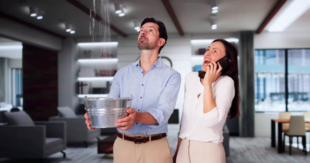 Best Water damage restoration near me  in Bridgetown, OH